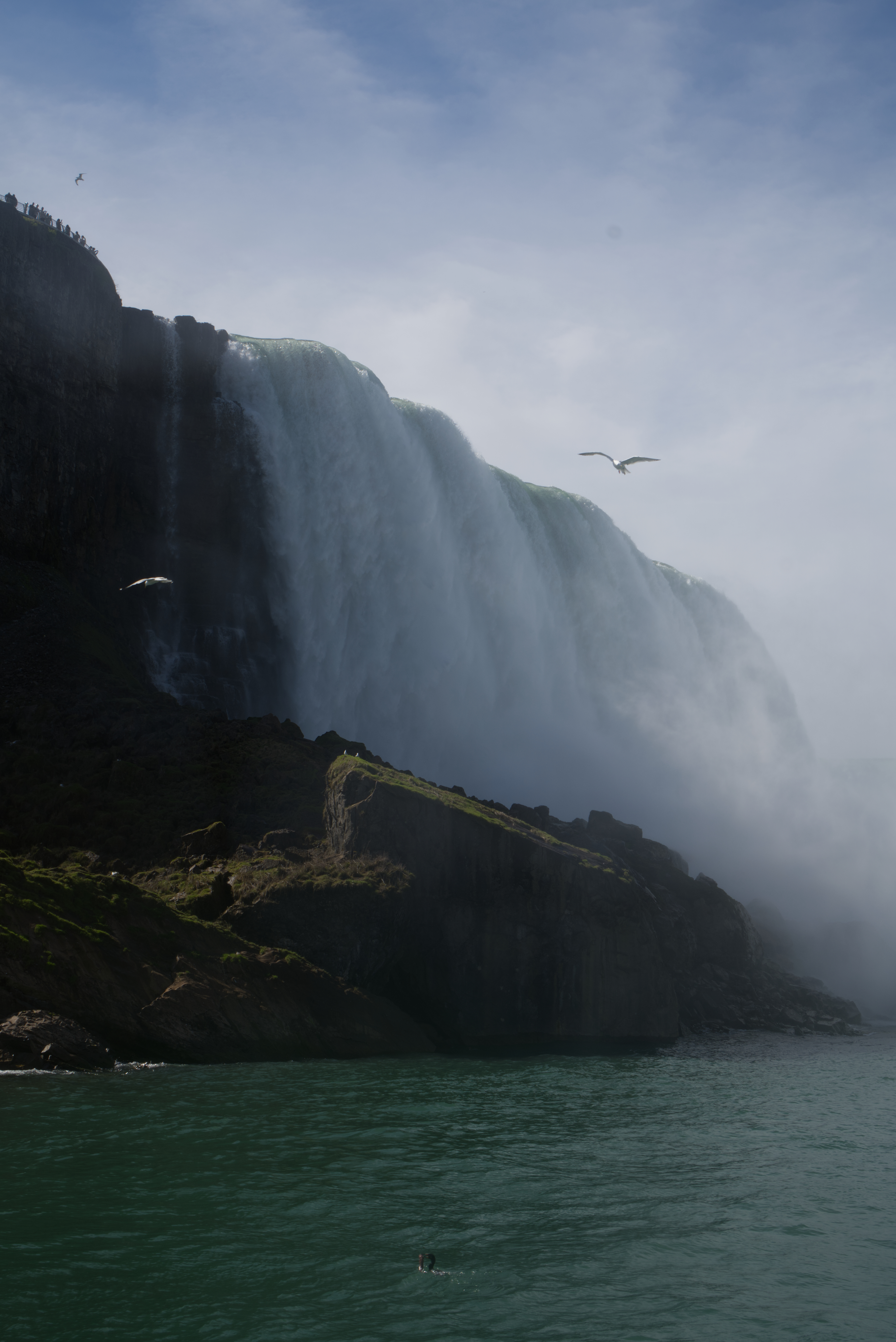 /images/gallery/DSC08367_tnrcup.jpg